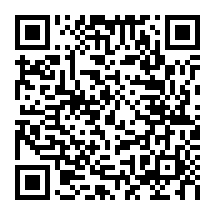 QRCode 8,0 mm Birken-Sperrholz · 310 mm x 250 mm · 9-lagig