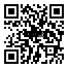 QRCode 30,0 mm Balsa Brettchen einzeln · 1000 mm x 100 mm QRCode 30,0 mm Balsa Brettchen einzeln · 1000 mm x 100 mm