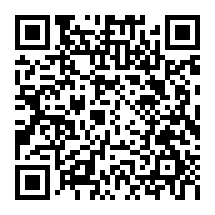 QRCode Kunststoff-Servoarm + Schraube für KST X10 + X10 Mini · X-911 + X-612