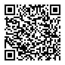 QRCode 6,0 mm Birken-Sperrholz · 310 mm x 250 mm · 7-lagig