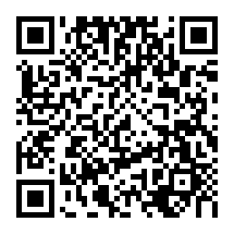 QRCode 21,5 mm Alu Servoarm für 9-10 mm MKS Servos · 2er Set