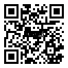 QRCode XT90 H Stecker · Nylon · Kontakte vergoldet · Amass High Quality Product