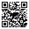 QRCode 1,0 mm Balsa Brettchen einzeln · 1000 mm x 100 mm