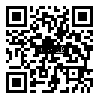 QRCode 20,0 mm Balsa Brettchen einzeln · 1000 mm x 100 mm QRCode 20,0 mm Balsa Brettchen einzeln · 1000 mm x 100 mm