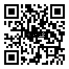 QRCode 10,0 mm Balsa Brettchen einzeln · 1000 mm x 100 mm QRCode 10,0 mm Balsa Brettchen einzeln · 1000 mm x 100 mm